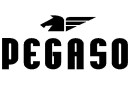 Pegaso Eyewear